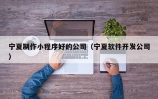 石嘴山宁夏制作小程序好的公司（宁夏软件开发公司）